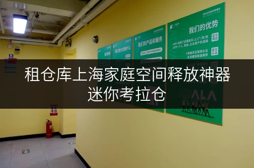 租仓库上海家庭空间释放神器迷你考拉仓,守护您的寄存物品 租仓库上海家庭空间释放神器迷你考拉仓,守护您的寄存物品