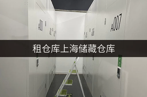 租仓库上海储藏仓库，安心之选，您的私人空间守护者