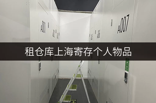 租仓库上海寄存个人物品,安全与温湿监控双重保障 租仓库上海寄存个人物品,安全与温湿监控双重保障