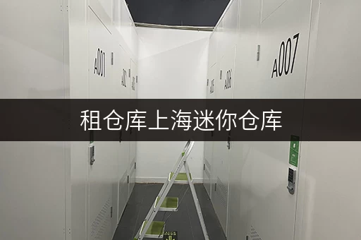租仓库上海迷你仓库,打造您的私人安全储物空间 租仓库上海迷你仓库,打造您的私人安全储物空间
