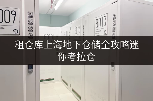 租仓库上海地下仓储全攻略迷你考拉仓,您的地下空间储物专家 租仓库上海地下仓储全攻略迷你考拉仓,您的地下空间储物专家