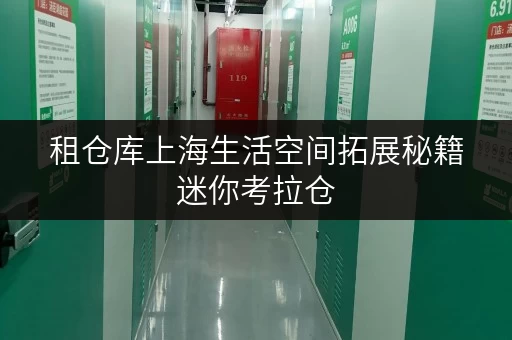 租仓库上海生活空间拓展秘籍迷你考拉仓，全时段便捷租用平台