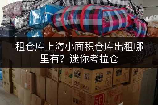 租仓库上海小面积仓库出租哪里有?迷你考拉仓,安全与温湿监控双重保障 租仓库上海小面积仓库出租哪里有?迷你考拉仓,安全与温湿监控双重保障
