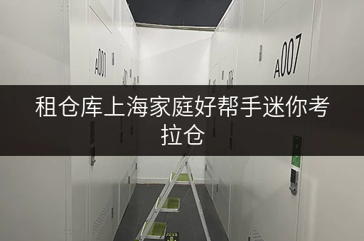 租仓库上海家庭好帮手迷你考拉仓,便捷存取,24小时服务,小仓库租赁新选择 租仓库上海家庭好帮手迷你考拉仓,便捷存取,24小时服务,小仓库租赁新选择