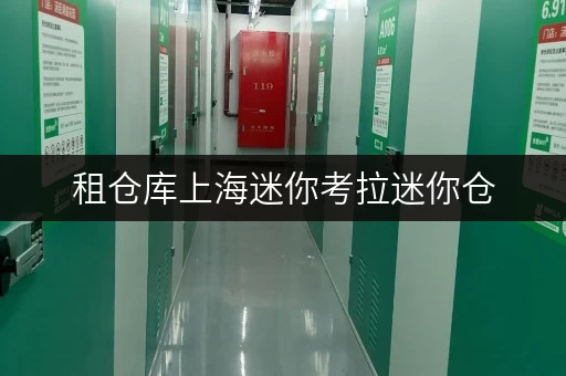 租仓库上海迷你考拉迷你仓,让货物存放更省心存储方案 租仓库上海迷你考拉迷你仓,让货物存放更省心存储方案