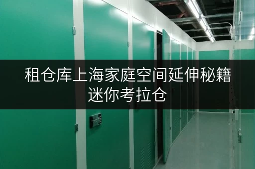 租仓库上海家庭空间延伸秘籍迷你考拉仓,安全温湿监控,存储无忧 租仓库上海家庭空间延伸秘籍迷你考拉仓,安全温湿监控,存储无忧