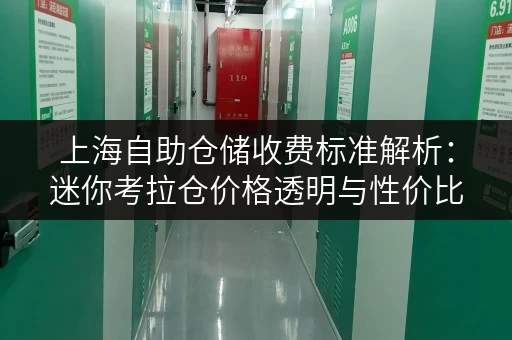 上海自助仓储收费标准解析:迷你考拉仓价格透明与性价比之道 上海自助仓储收费标准解析:迷你考拉仓价格透明与性价比之道