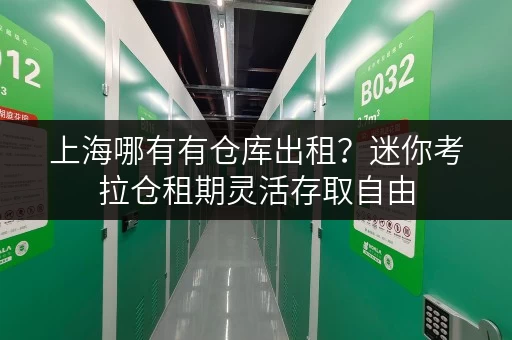 上海哪有有仓库出租?迷你考拉仓租期灵活存取自由 上海哪有有仓库出租?迷你考拉仓租期灵活存取自由
