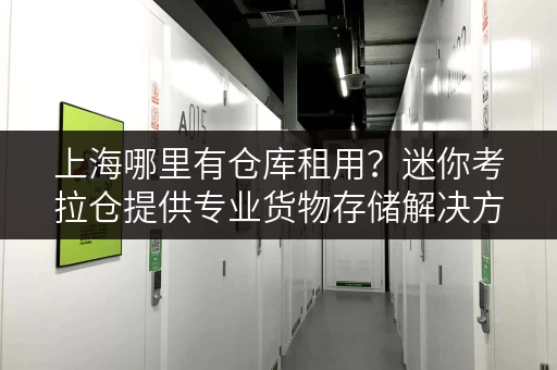 上海哪里有仓库租用?迷你考拉仓提供专业货物存储解决方案 上海哪里有仓库租用?迷你考拉仓提供专业货物存储解决方案
