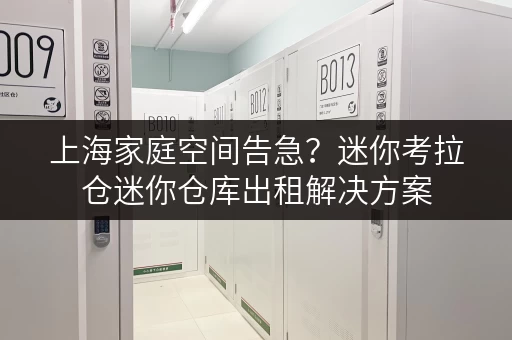上海家庭空间告急?迷你考拉仓迷你仓库出租解决方案 上海家庭空间告急?迷你考拉仓迷你仓库出租解决方案