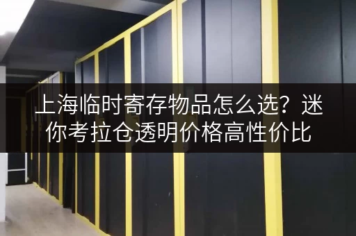上海临时寄存物品怎么选?迷你考拉仓透明价格高性价比 上海临时寄存物品怎么选?迷你考拉仓透明价格高性价比