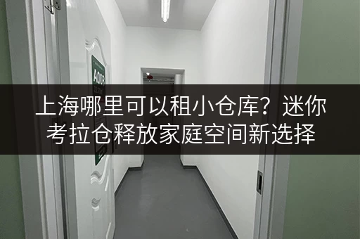 上海哪里可以租小仓库?迷你考拉仓释放家庭空间新选择 上海哪里可以租小仓库?迷你考拉仓释放家庭空间新选择